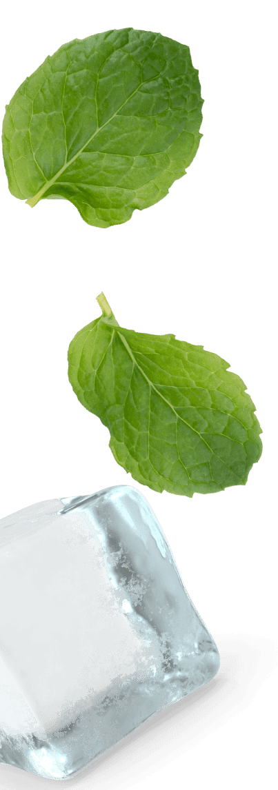 Cool Mint Experience